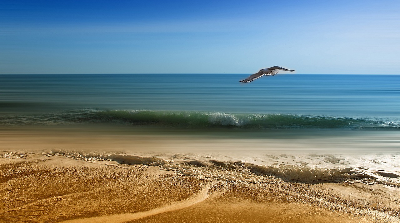 How to Make Your Beach Trip More Sustainable?